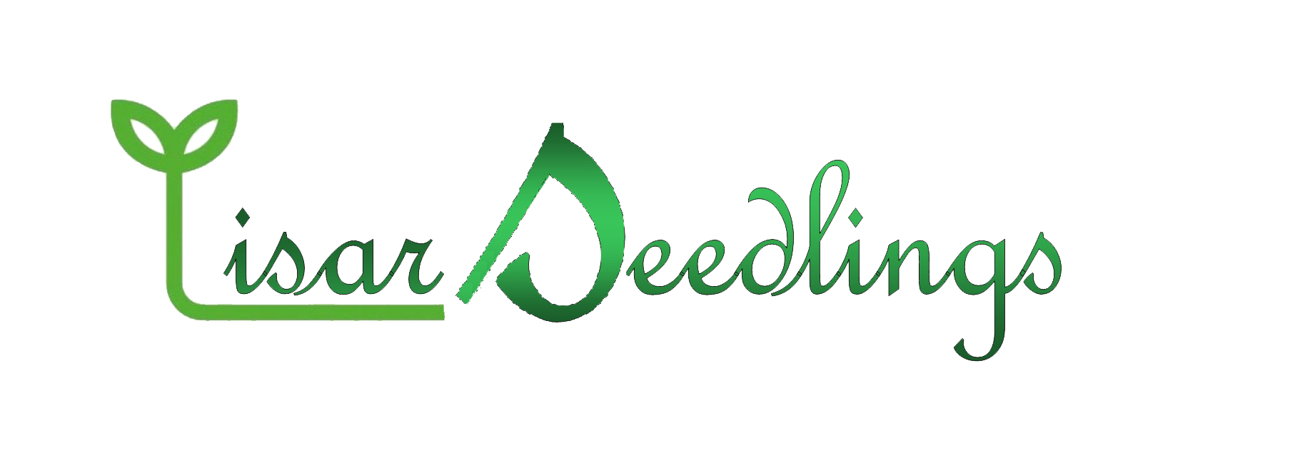 Lisar Seedlings Ltd.